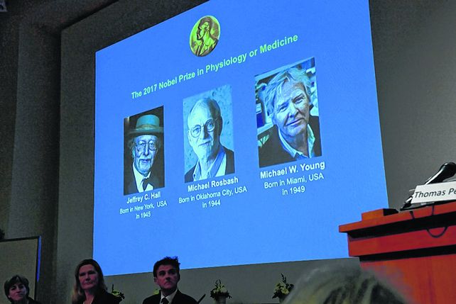 los ganadores del nobel. Los médicos estadounidense Jeffrey Hall