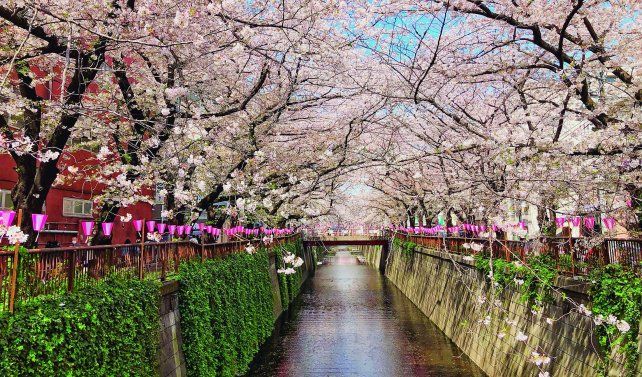 Japón y Corea ofrecen rincones mágicos para que los turistas puedan explorar.
