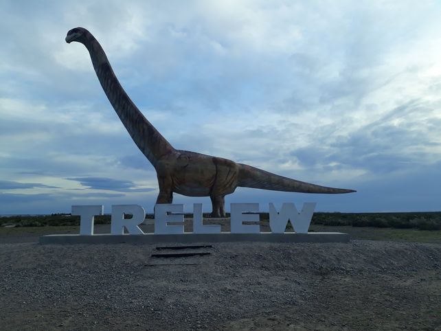 Chubut: De frac en Punta Tombo