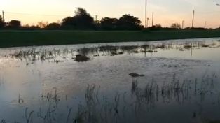 Tragedia en Tostado: un nene murió ahogado en un canal de desagüe