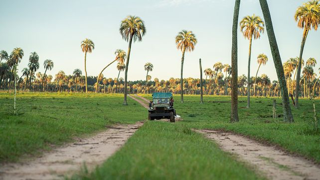 Turismo: entre la agonía y la esperanza de un repunte