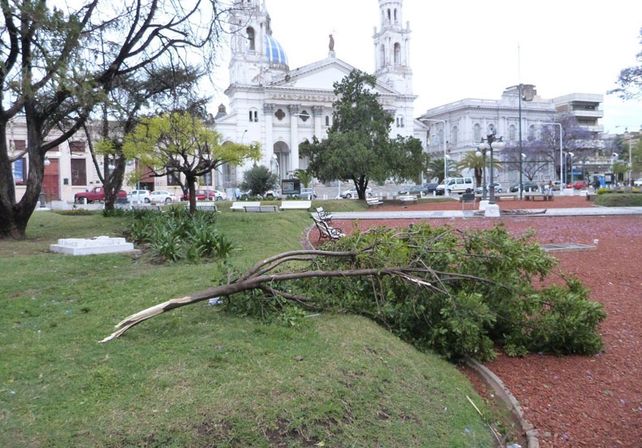 Foto: Facebook Paraná hacia el mundo