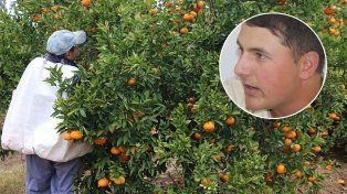 Citrus: alerta por bajos precios y fuerte caída de demanda