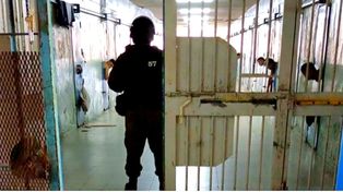 Cárcel de Las Flores: apuñalaron a un interno durante un tumulto entre reclusos