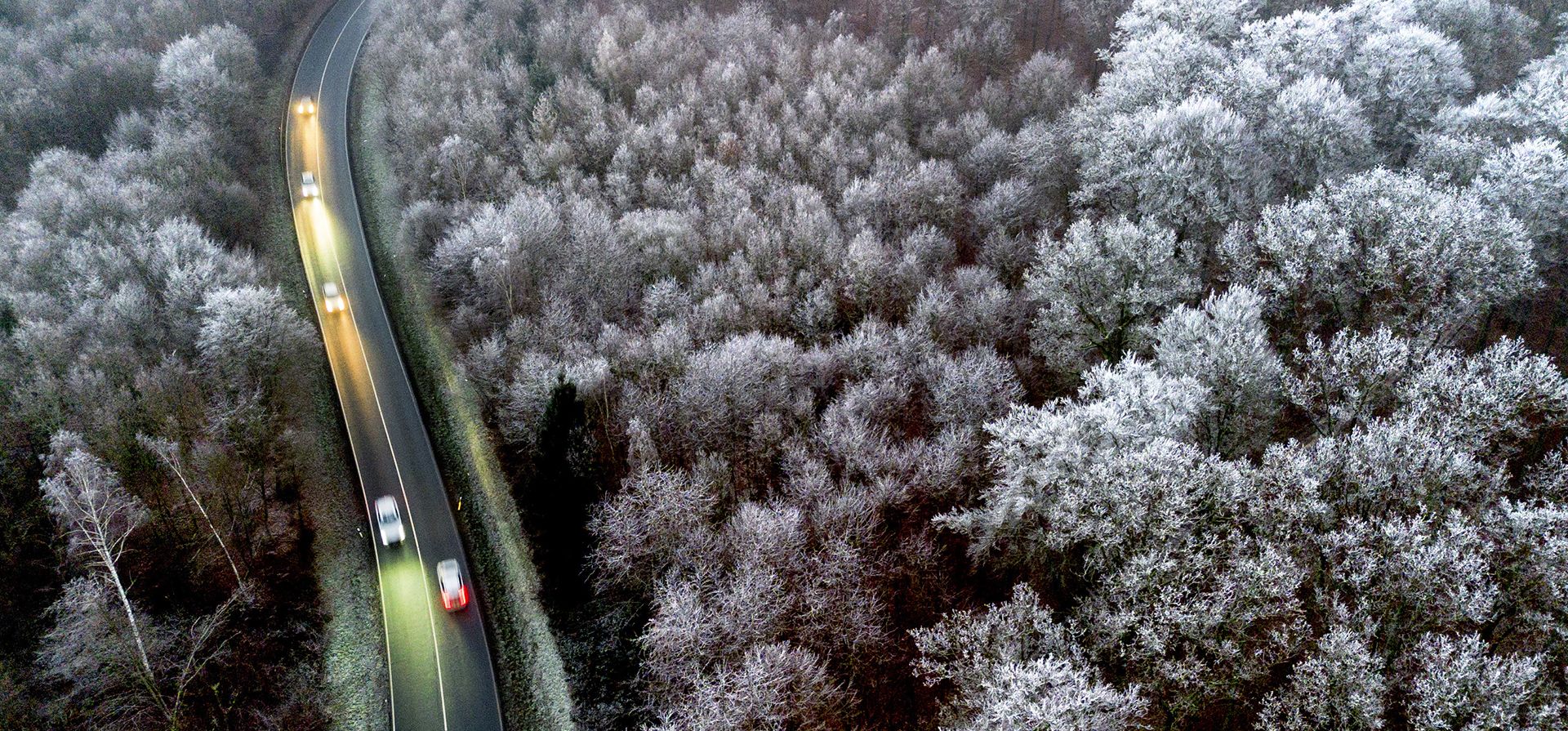 Automóviles circulan por un bosque con árboles congelados en la región de Taunus, cerca de Frankfurt, Alemania, el lunes 30 de diciembre de 2024. (Foto AP/Michael Probst) Automóviles circulan por un bosque con árboles congelados en la región de Taunus, cerca de Frankfurt, Alemania, el lunes 30 de diciembre de 2024. (Foto AP/Michael Probst)