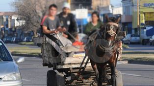 Avanza el Programa de recolectores informales urbanos