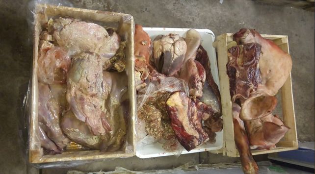 La mercadería decomisada.