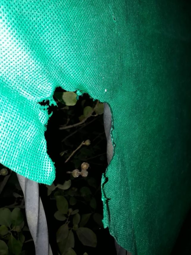 Preocupación por ataques contra consignas feministas en Santa Fe