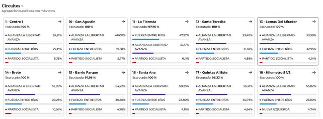 Elecciones 2025: Cómo se votó en cada sección y en cada mesa