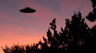 Un científico advierte que el contacto con extraterrestres podría terminar con la vida en la Tierra