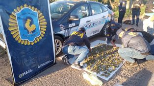 La Federal secuestró cogollos de marihuana en un control de las rutas Provincial 1 y Nacional 168