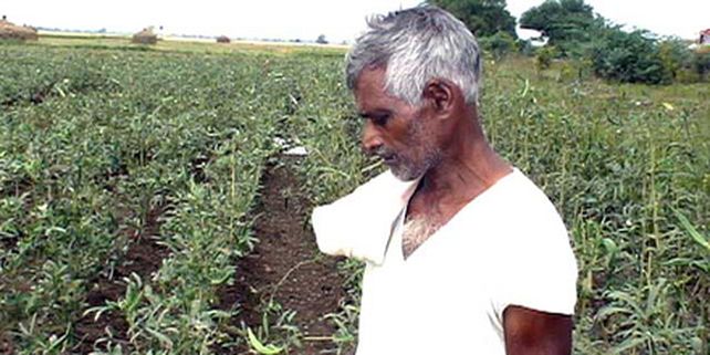 Las deudas terminan en el suicidio de miles de agricultores indios