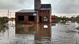 El agua perjudica a los Procrear