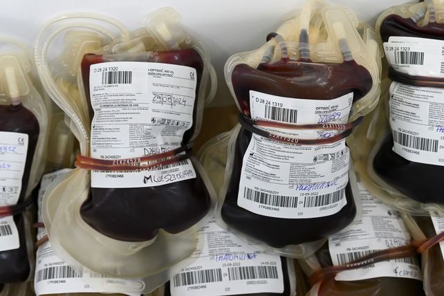 La provincia de Santa Fe registró 6.330 donantes de sangre durante 2024