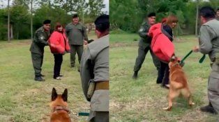 La ministra de Seguridad, Patricia Bullrich, protagonizó una demostración con ovejeros alemanes de Gendarmería que se hizo viral