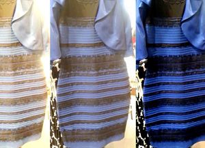 Un vestido bicolor causó un debate global en las redes sociales