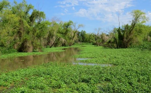 Ya es ley la ampliación del Parque Nacional Islas de Santa Fe