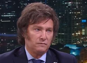 Javier Milei: Los salarios han empezado a ganarle a la inflación