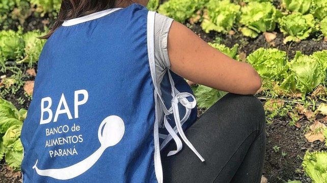 El Banco de Alimentos de Paraná distribuye un promedio mensual de más de 40.000 kilos de alimentos