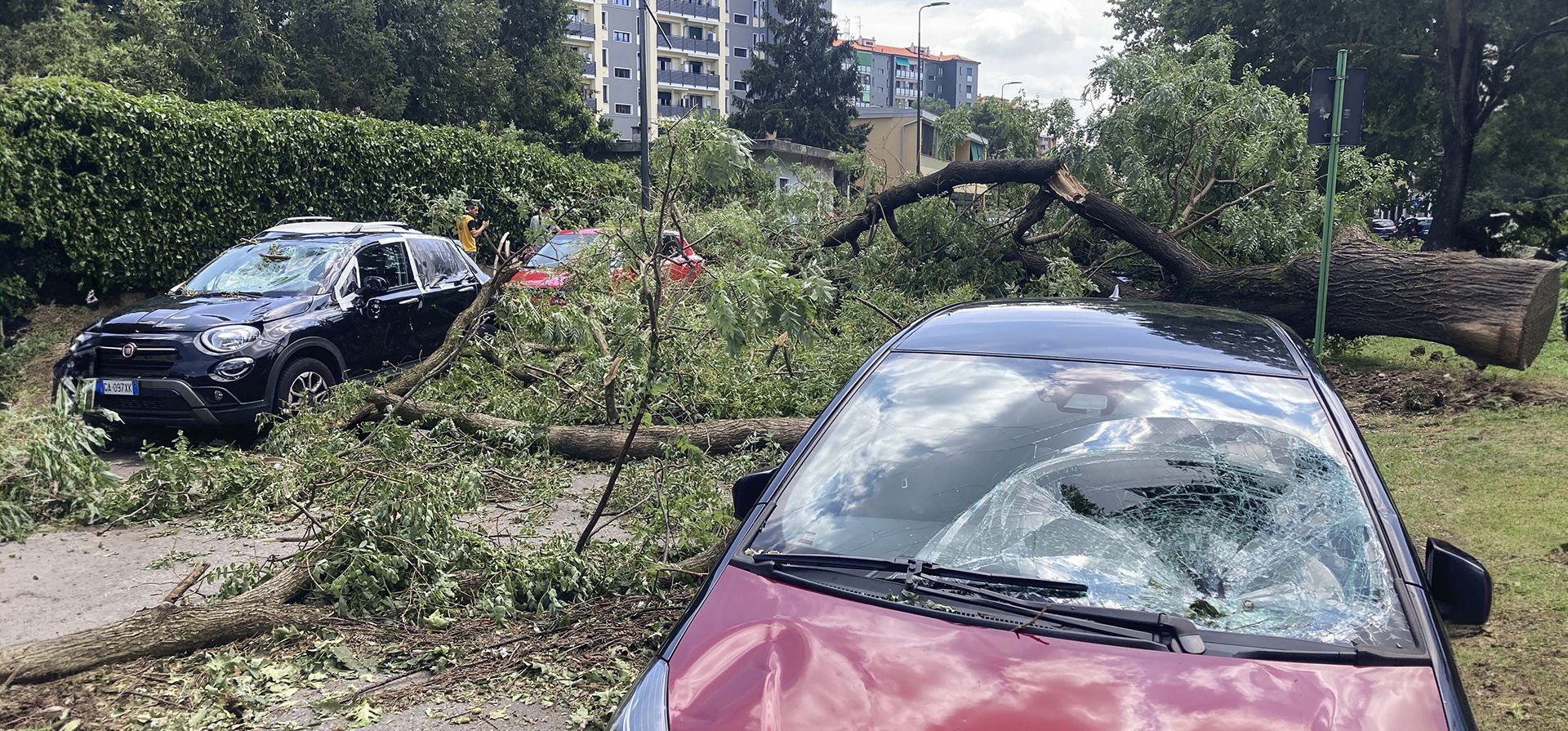 Un árbol yace sobre un automóvil después de caer durante una fuerte tormenta, en Milán, Italia, el martes 25 de julio de 2023. En los últimos días, Milán ha sido azotada por varias tormentas con granizo del tamaño de pelotas de tenis y azotada por fuertes vientos. (Foto AP Luca Bruno)