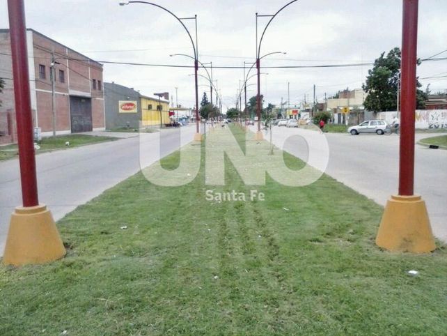 Tras el trabajo de los jóvenes de “Calles Seguras” la avenida luce un renovado cantero central.