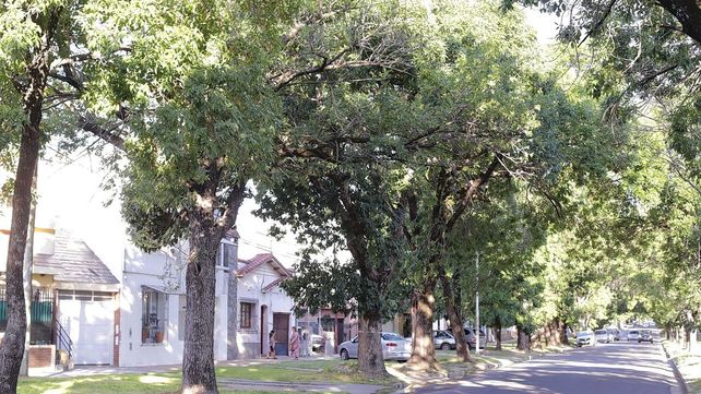 La Justicia avanzará con acciones vinculadas a la polémica obra de ensanche de Racedo