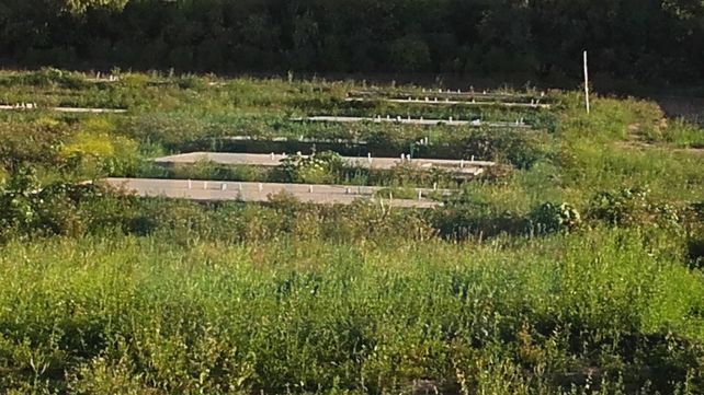 Obras paradas. La construcción de las viviendas no avanzó desde hace un buen tiempo.