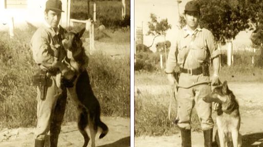 Chonino, el perro policía que es historia
