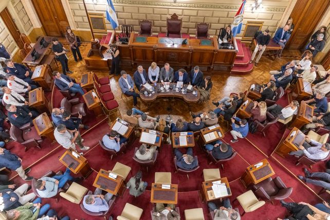 El Senado fue el escenario de disputa entre Felipe Michlig y el ministro Lisandro Enrico.
