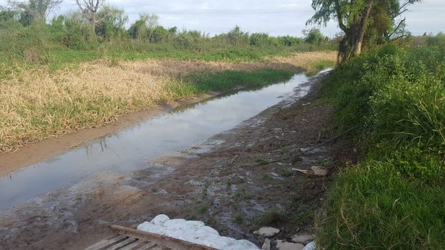 Por la bajante, la Cortada de Sauce Viejo se quedó casi sin agua