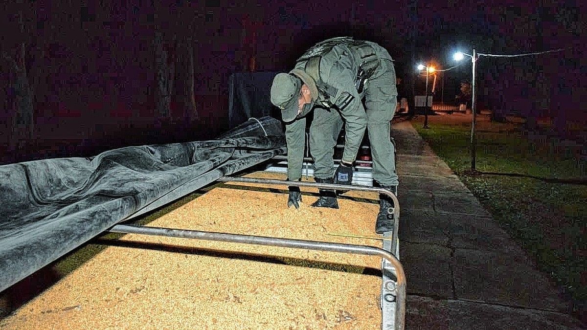 Contrabando: incautaron un cargamento de soja entrerriana