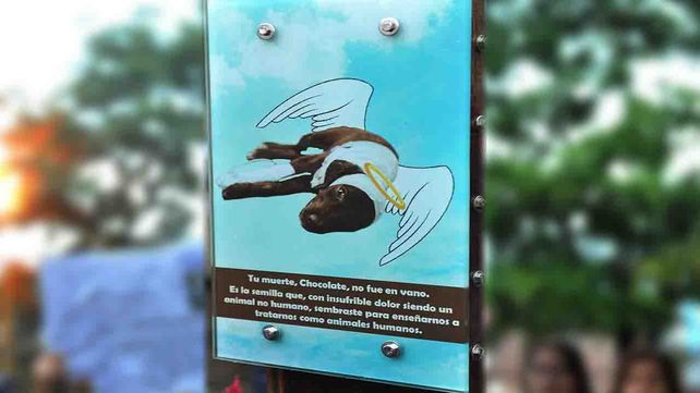 Gentileza La Voz de San Justo.