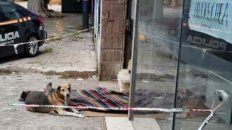 quien era el indigente que murio en republica de la sexta con su fiel perro al lado quien era el indigente que murio en republica de la sexta con su fiel perro al lado