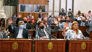 Se aprobó la ley del Colegio de Profesionales de Educación Física