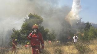 Calm&oacute; el viento y los bomberos luchan para controlar las llamas cerca de Atenas