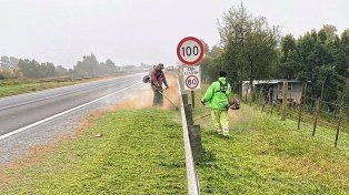 Las tareas de desmalezamiento se están llevando a cabo en distintos puntos de la ruta 14.
