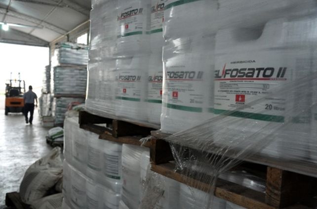 bajo la lupa. La prohibición del uso del herbicida en esta ciudad fue apoyada por los 28 concejales. Desde ese día, Fein recibe presiones de los productores.