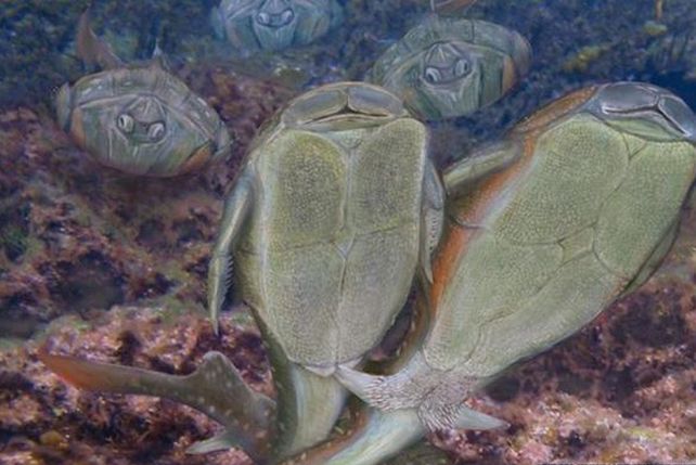 La primera relación sexual de la historia se dio en Escocia