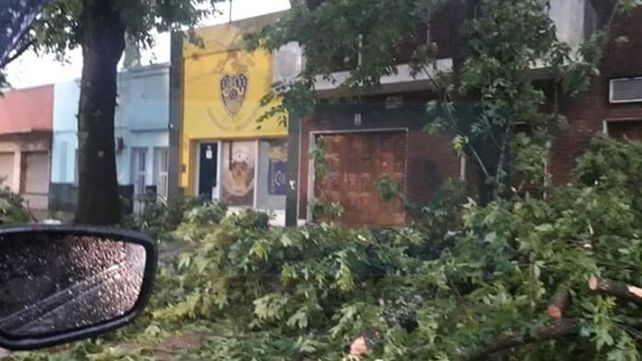 Violenta tormenta en Basavilbaso