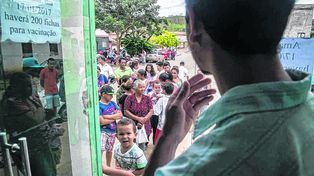 La fiebre amarilla mató a más de cien personas en dos meses en el sur de Brasil