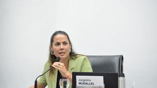 Ola de calor y falta de agua: Jorgelina Mudallel reclama asistencia urgente para los barrios