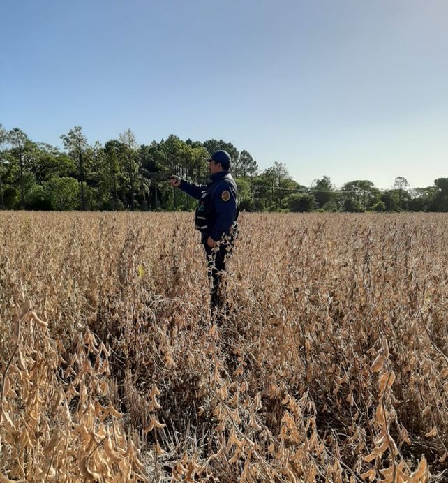 Rastrillan campos de General Racedo y aledaños en búsqueda de María Victoria Loza