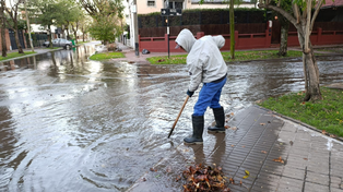 Tormenta en Rosario: cuadrillas municipales trabajan en distintos puntos de la ciudad