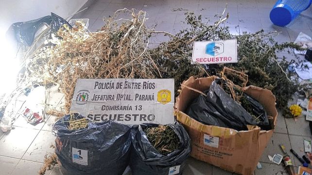 Cannabis: contenidos del plan de capacitación a policías