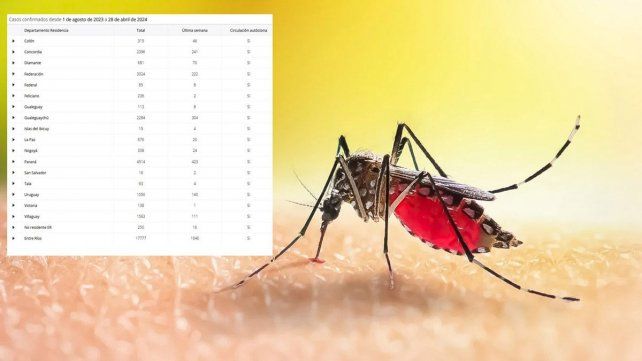 Disminuyó la cantidad de casos de dengue en Entre Ríos respecto de la semana anterior. Desde Salud recalcan importancia de continuar con medidas de prevención