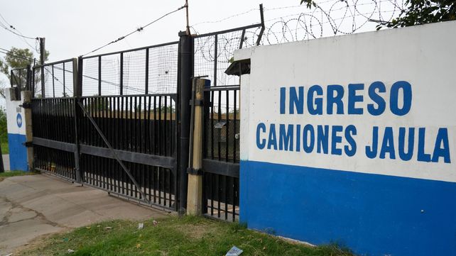 Dos frigoríficos fueron atacados la noche del martes. Uno de ellos fue el de Coto en la zona sur de Rosario. En ambos casos dejaron notas con tinte mafioso.