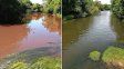 Las lluvias intensas generan pulsos tóxicos en afluentes del río Paraná