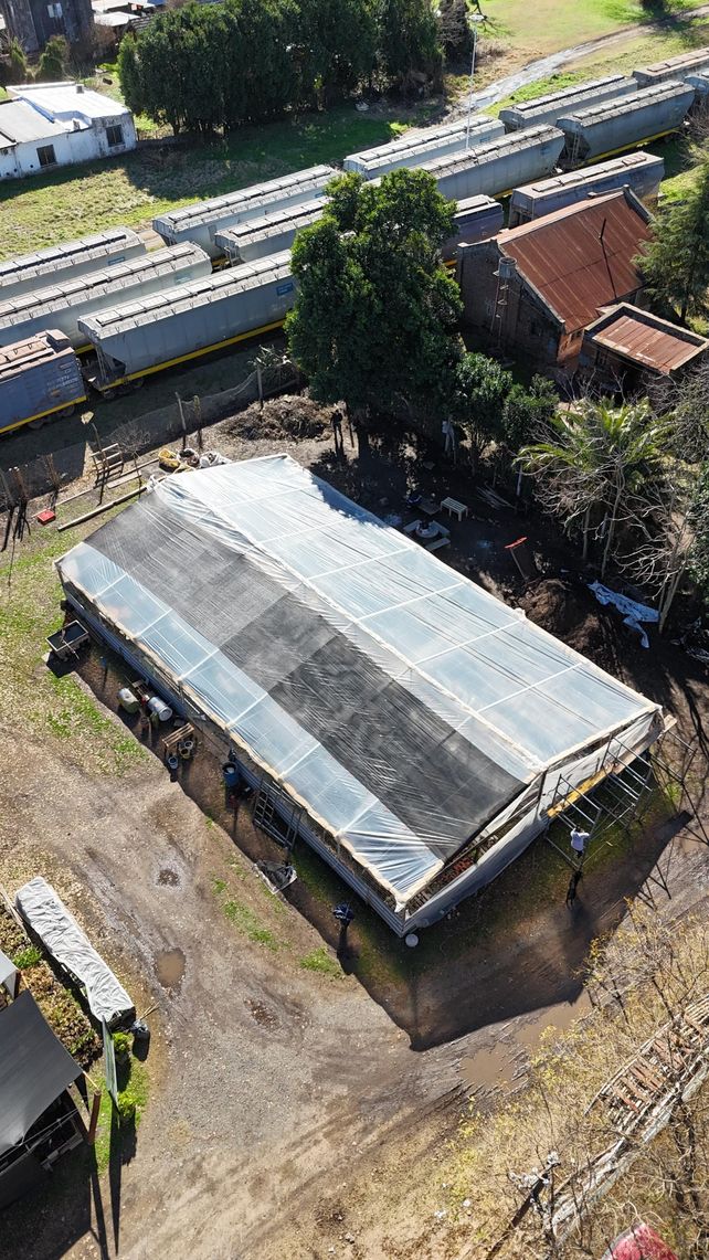 Ya se producen más de 15.000 plantas nativas en el Vivero Departamental de Venado Tuerto