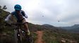brutal ataque de un enjambre de abejas a un grupo de ciclistas