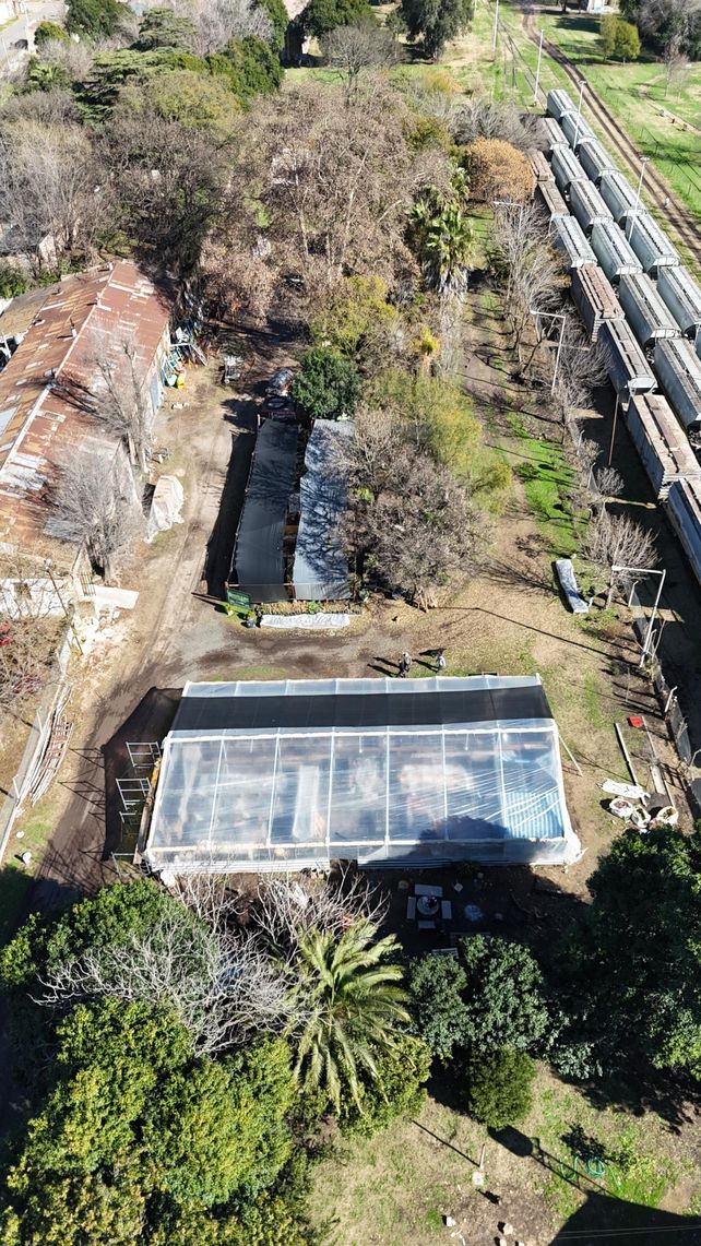 Ya se producen más de 15.000 plantas nativas en el Vivero Departamental de Venado Tuerto